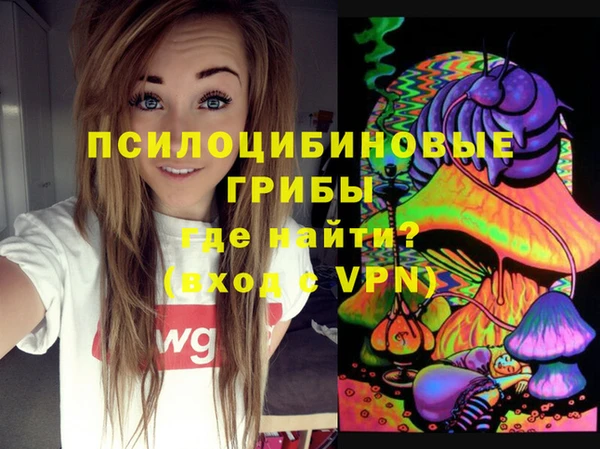 соль ск Балабаново